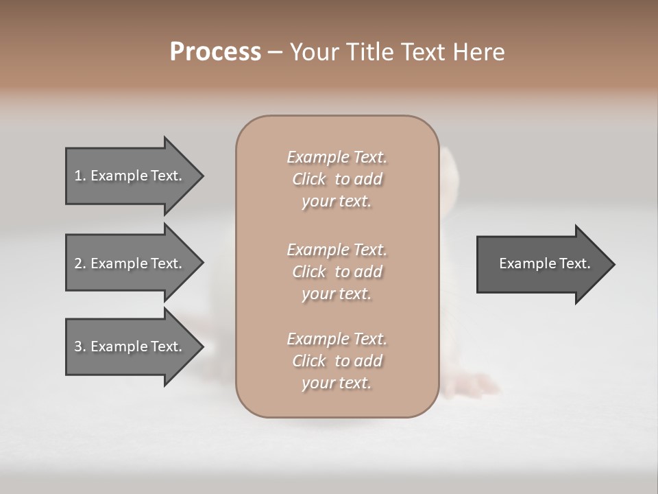 Test Healthcare Drug PowerPoint Template
