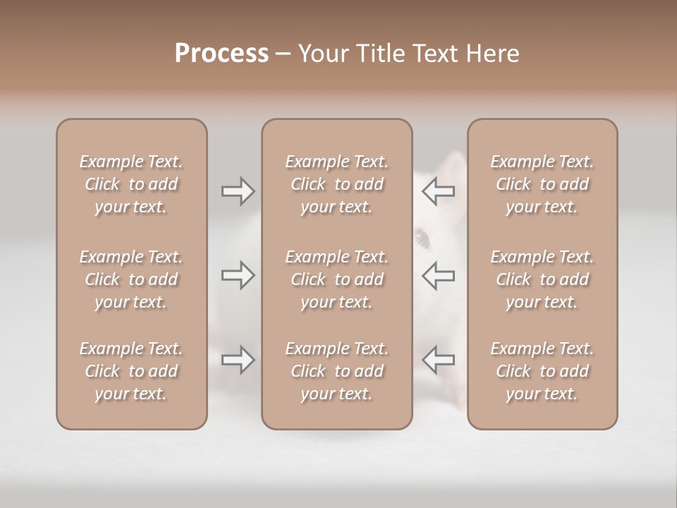 Test Healthcare Drug PowerPoint Template