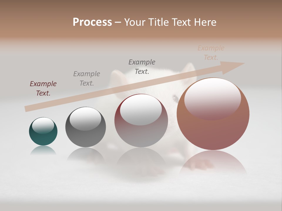Test Healthcare Drug PowerPoint Template