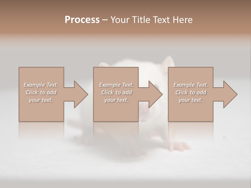 Test Healthcare Drug PowerPoint Template