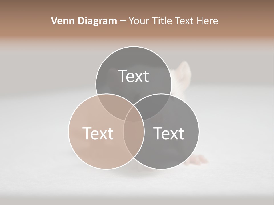 Test Healthcare Drug PowerPoint Template