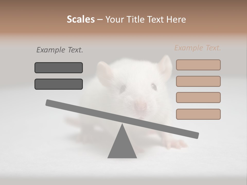 Test Healthcare Drug PowerPoint Template