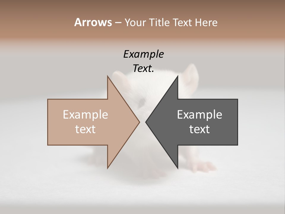 Test Healthcare Drug PowerPoint Template