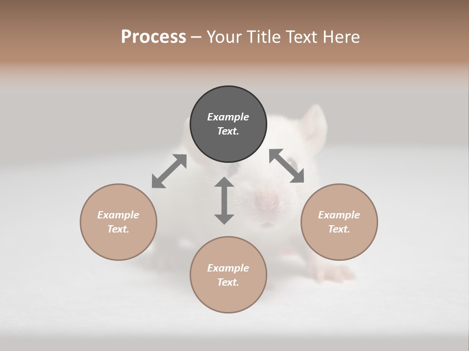 Test Healthcare Drug PowerPoint Template