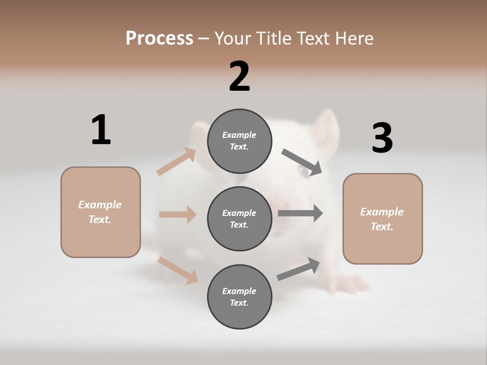 Test Healthcare Drug PowerPoint Template