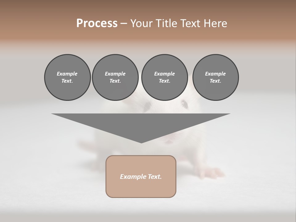Test Healthcare Drug PowerPoint Template