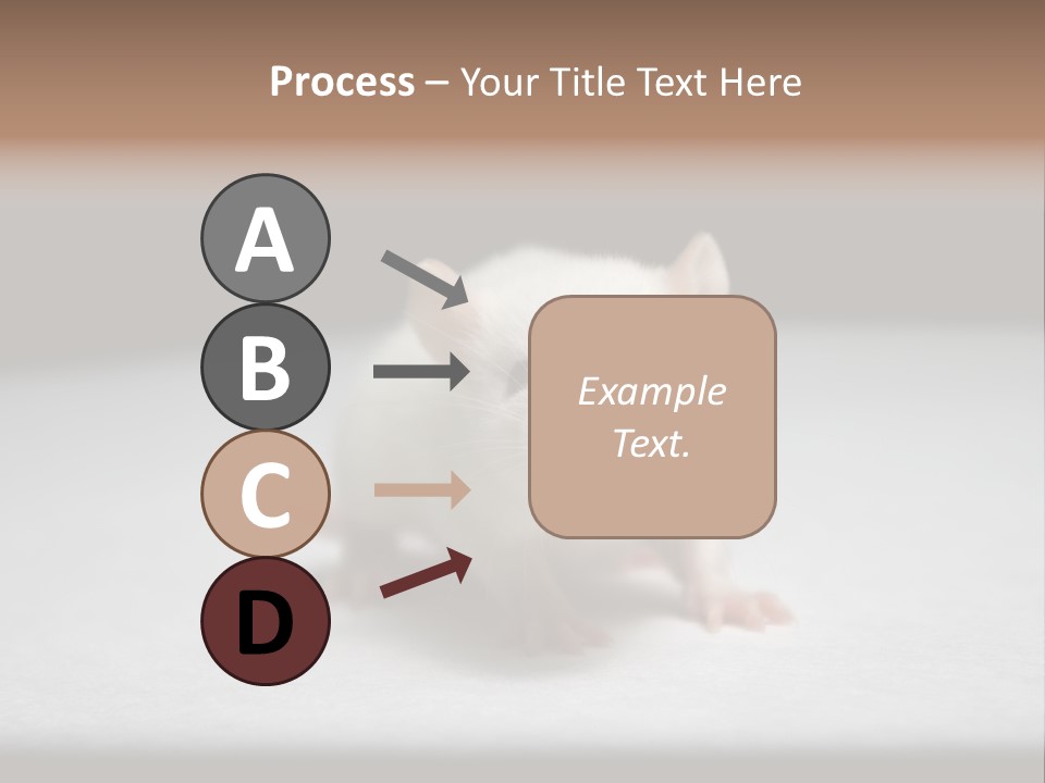 Test Healthcare Drug PowerPoint Template
