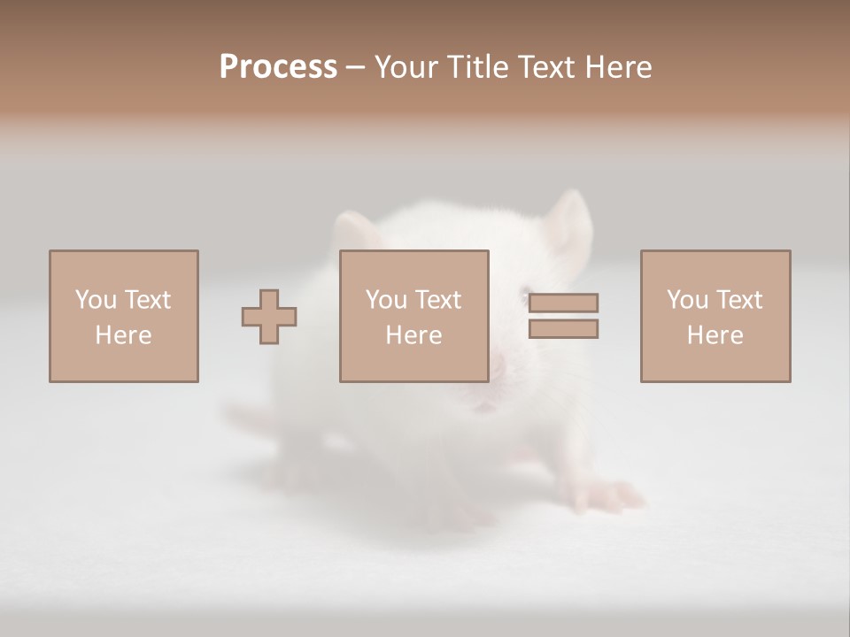 Test Healthcare Drug PowerPoint Template