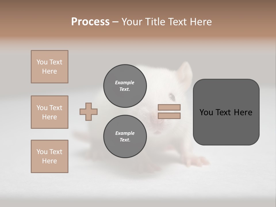 Test Healthcare Drug PowerPoint Template