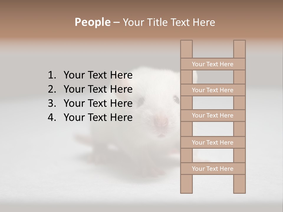 Test Healthcare Drug PowerPoint Template
