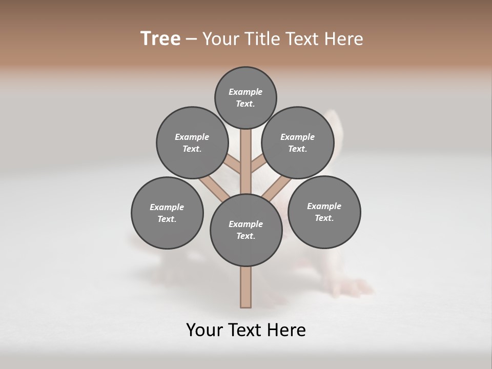 Test Healthcare Drug PowerPoint Template