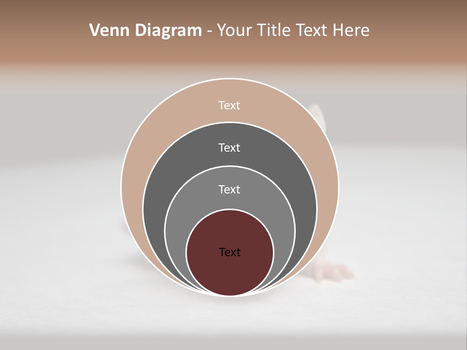 Test Healthcare Drug PowerPoint Template