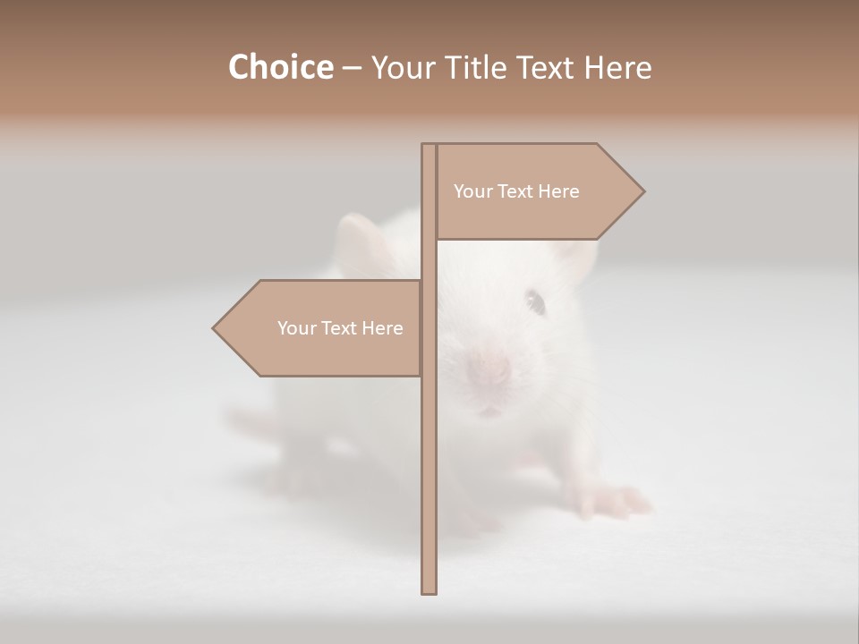 Test Healthcare Drug PowerPoint Template