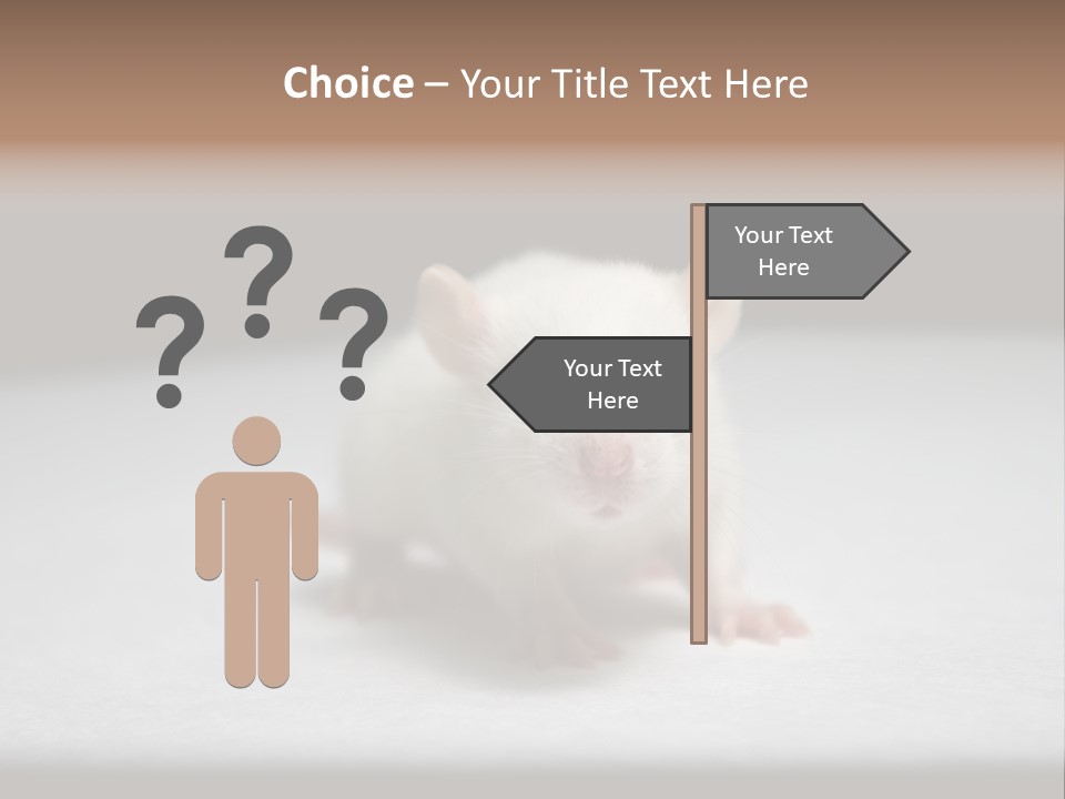 Test Healthcare Drug PowerPoint Template