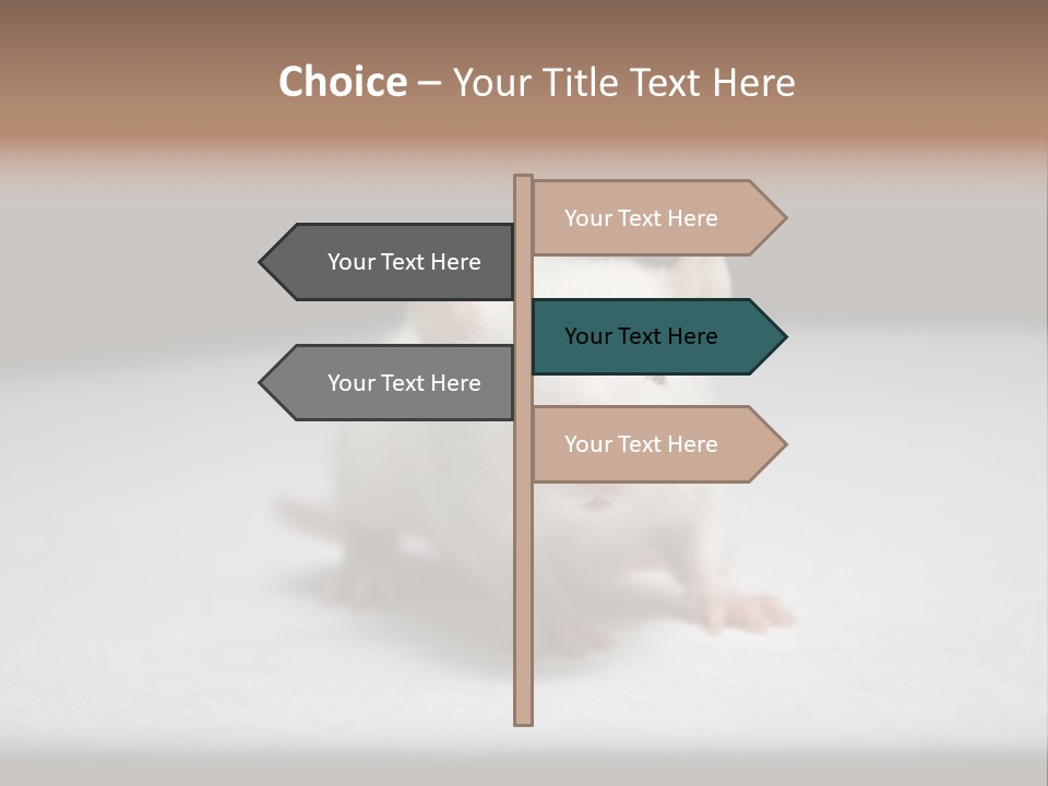Test Healthcare Drug PowerPoint Template