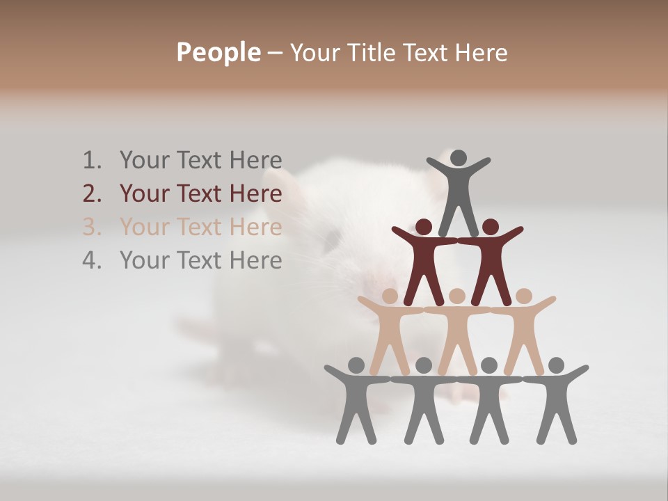 Test Healthcare Drug PowerPoint Template