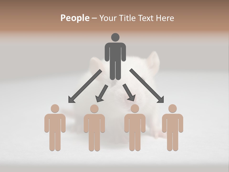 Test Healthcare Drug PowerPoint Template