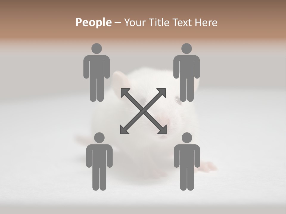 Test Healthcare Drug PowerPoint Template