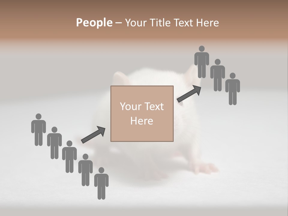 Test Healthcare Drug PowerPoint Template