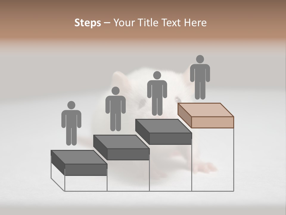 Test Healthcare Drug PowerPoint Template