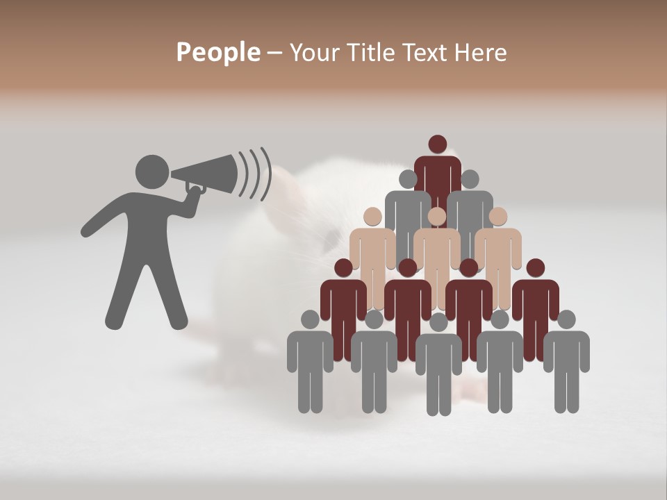 Test Healthcare Drug PowerPoint Template