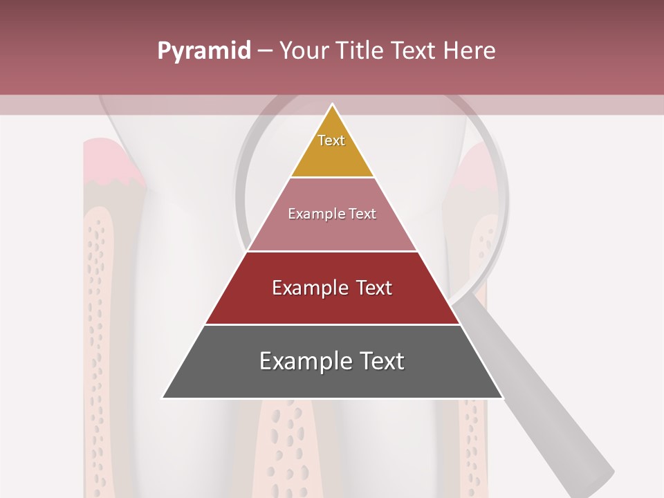 A Tooth With A Magnifying Glass On Top Of It PowerPoint Template