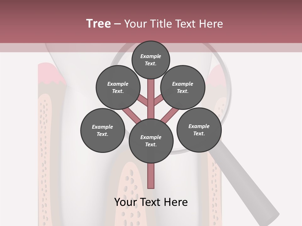 A Tooth With A Magnifying Glass On Top Of It PowerPoint Template
