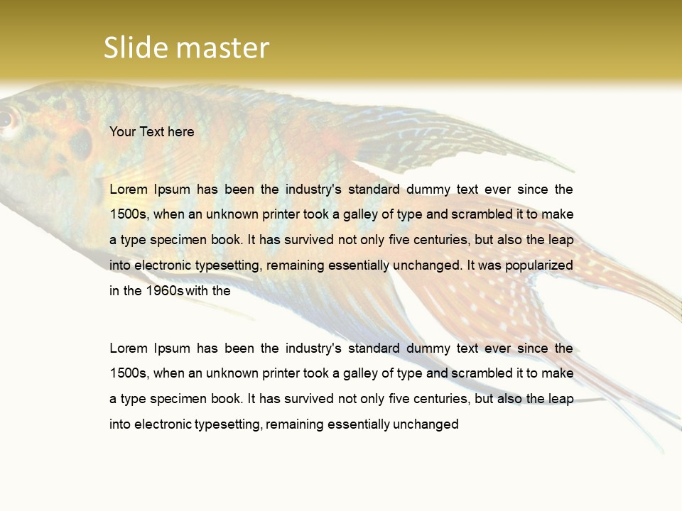 Macropodus Tropical Isolated PowerPoint Template