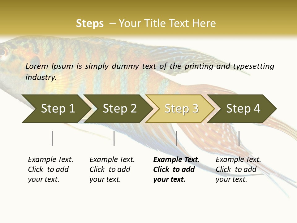 Macropodus Tropical Isolated PowerPoint Template