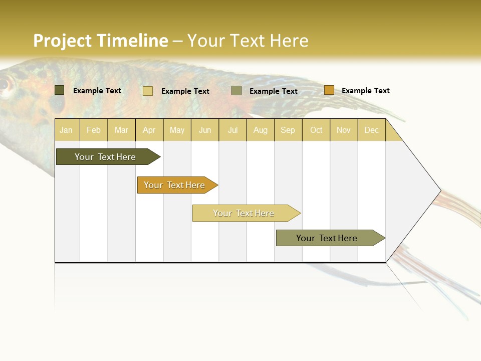 Macropodus Tropical Isolated PowerPoint Template