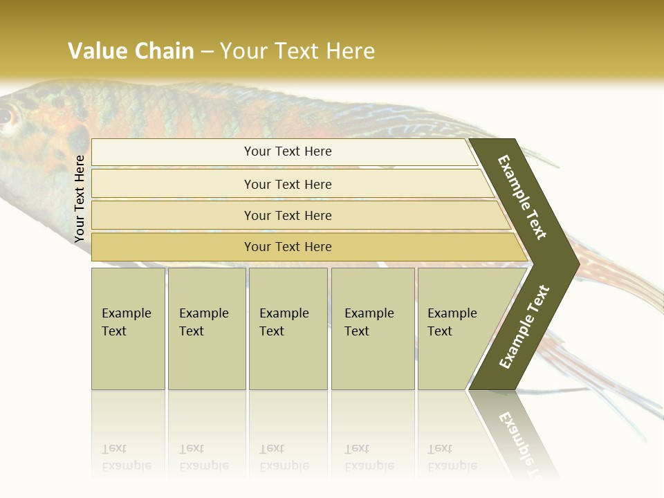 Macropodus Tropical Isolated PowerPoint Template