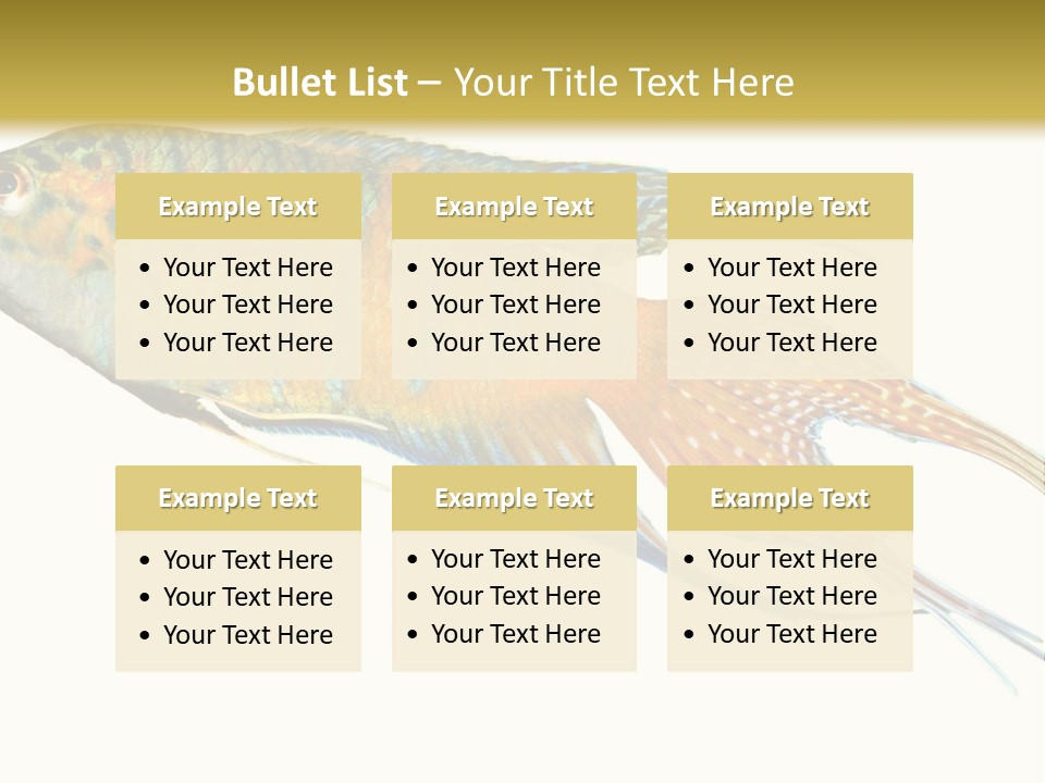 Macropodus Tropical Isolated PowerPoint Template