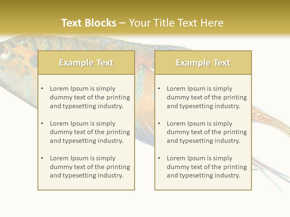 Macropodus Tropical Isolated PowerPoint Template