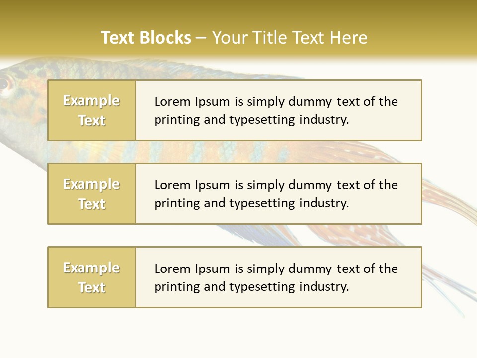 Macropodus Tropical Isolated PowerPoint Template