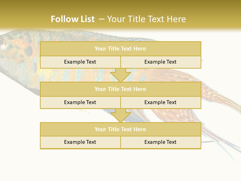 Macropodus Tropical Isolated PowerPoint Template