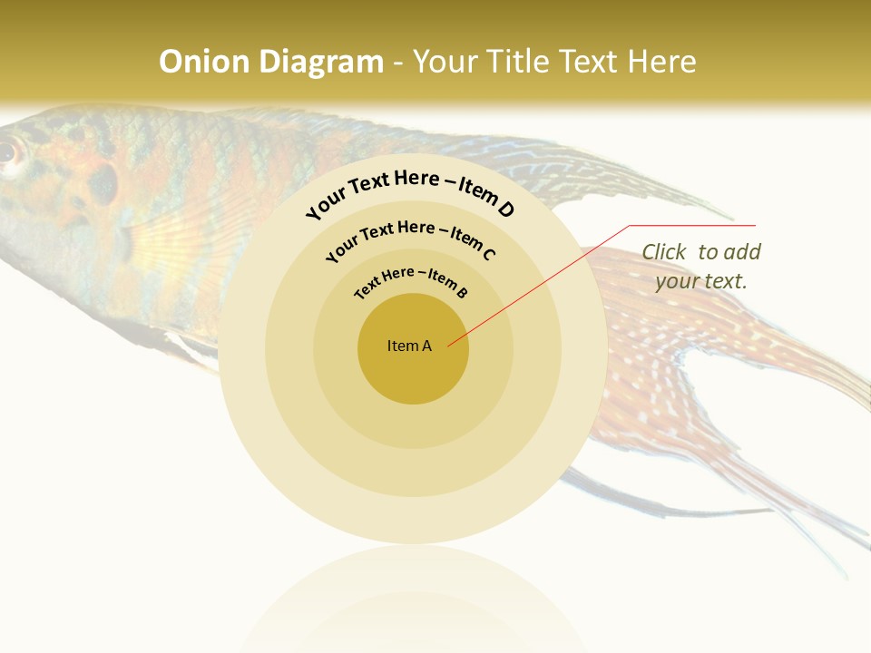 Macropodus Tropical Isolated PowerPoint Template