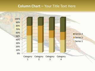 Macropodus Tropical Isolated PowerPoint Template