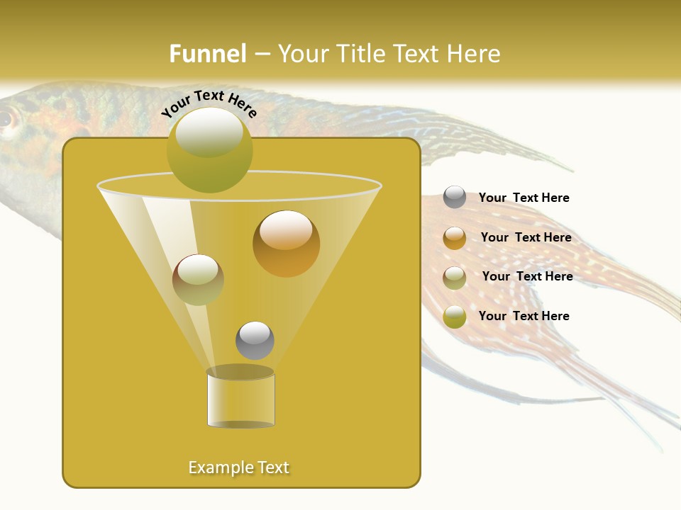 Macropodus Tropical Isolated PowerPoint Template