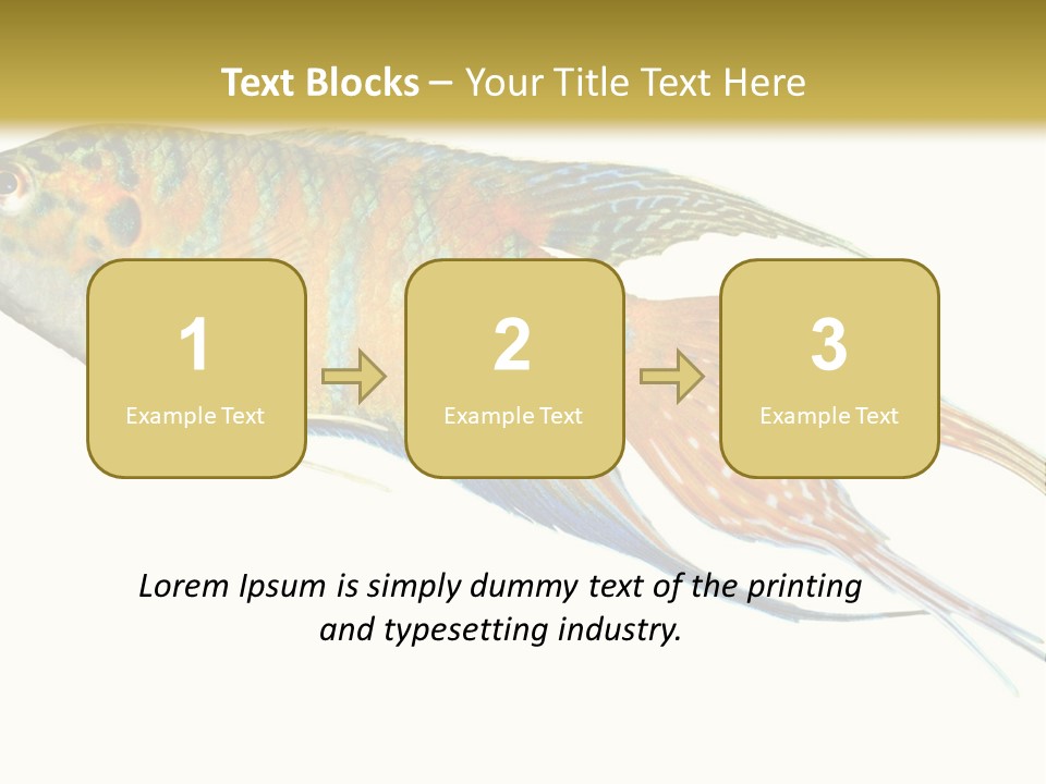 Macropodus Tropical Isolated PowerPoint Template