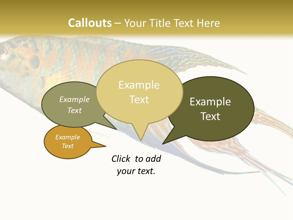 Macropodus Tropical Isolated PowerPoint Template