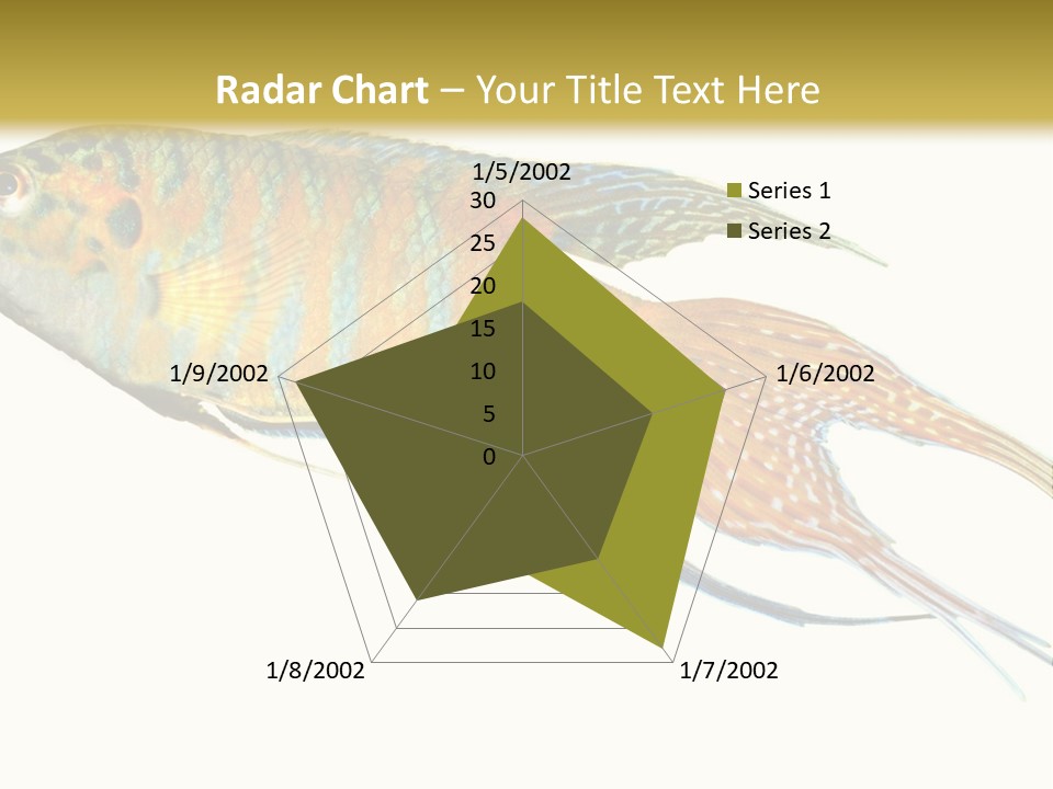 Macropodus Tropical Isolated PowerPoint Template