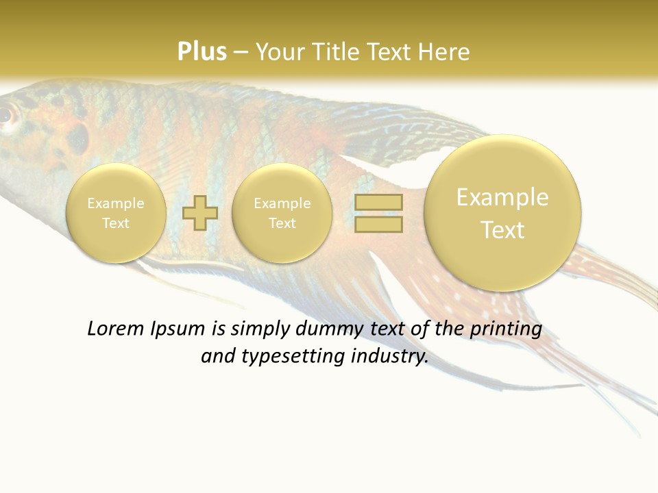 Macropodus Tropical Isolated PowerPoint Template