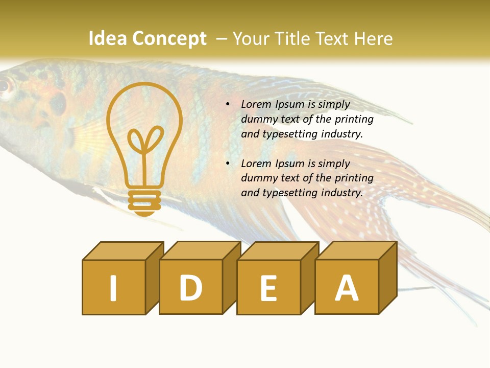 Macropodus Tropical Isolated PowerPoint Template