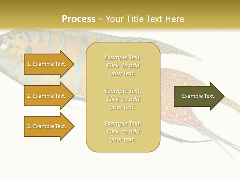 Macropodus Tropical Isolated PowerPoint Template