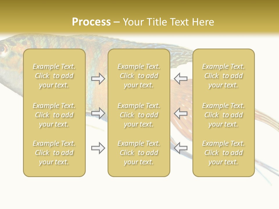 Macropodus Tropical Isolated PowerPoint Template