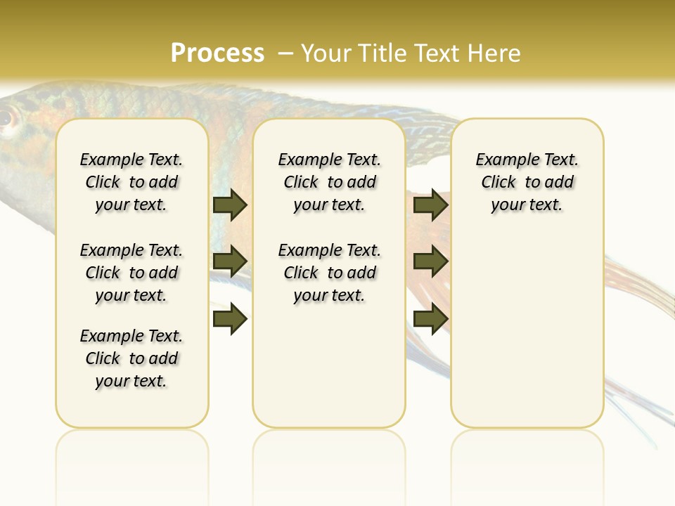 Macropodus Tropical Isolated PowerPoint Template