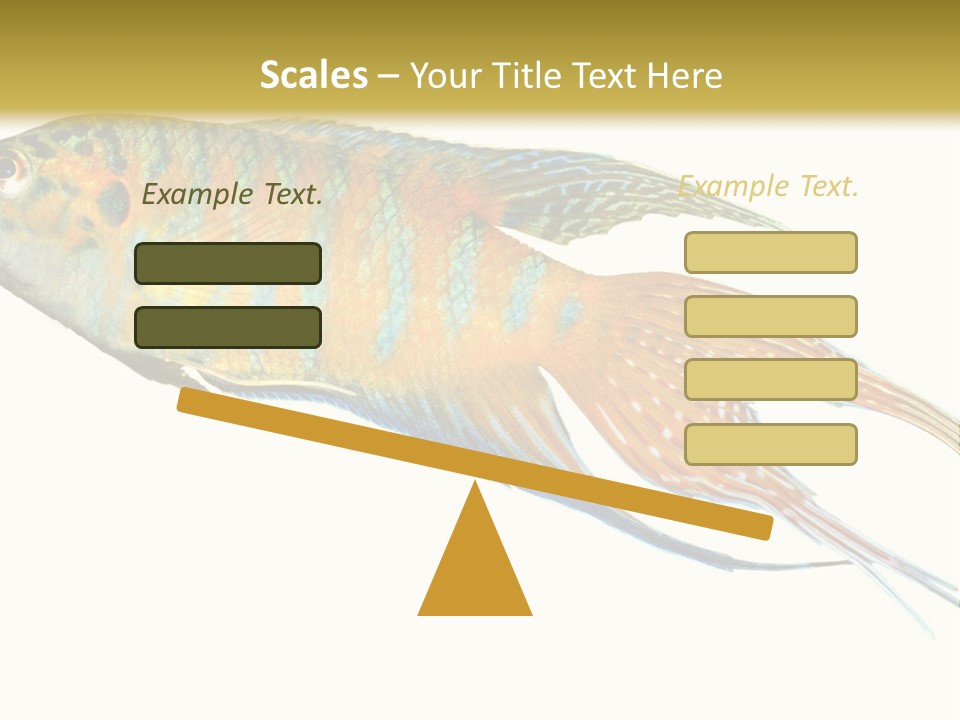 Macropodus Tropical Isolated PowerPoint Template