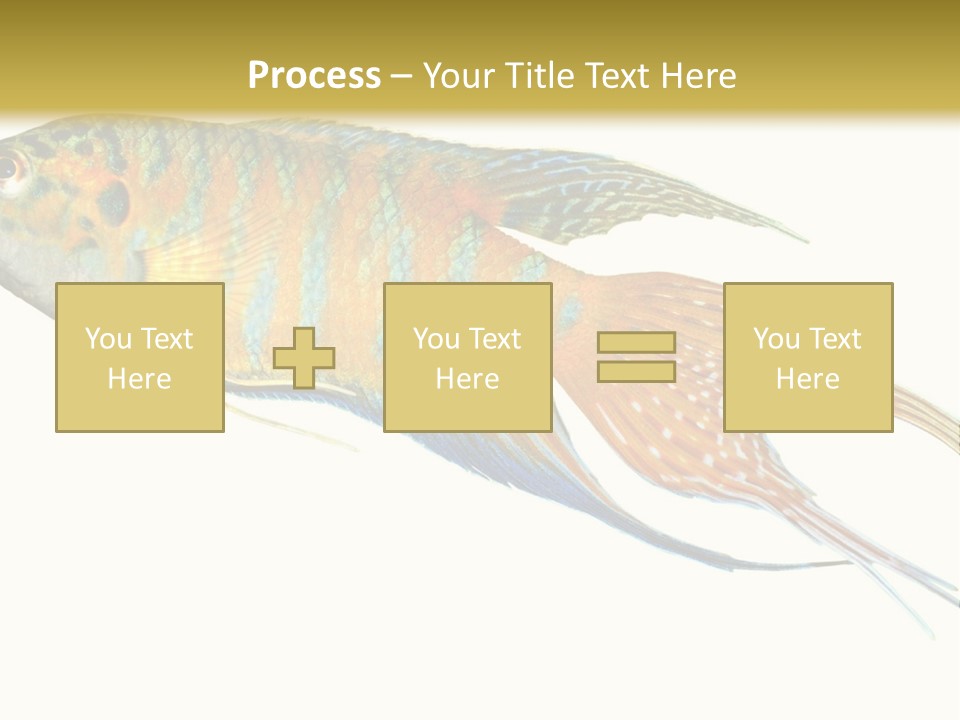Macropodus Tropical Isolated PowerPoint Template