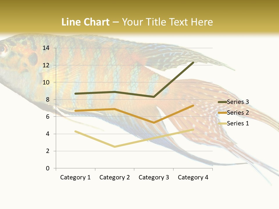 Macropodus Tropical Isolated PowerPoint Template