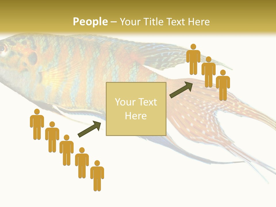 Macropodus Tropical Isolated PowerPoint Template